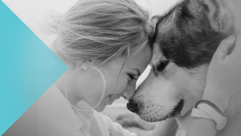 How to handle nuisance pets in Owners Corporations Strata Plan